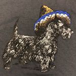 Profile Picture of Sra. Woosley (@scottiesinsombreros) on Instagram