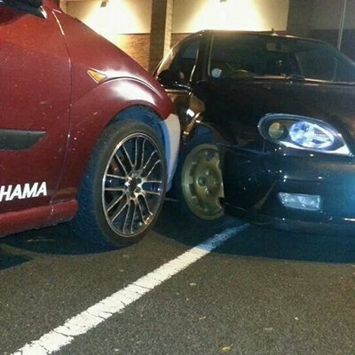 Profile Picture of Taryn Marshall (@taryn_marshall) on Twitter