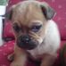 Profile Picture of Penny Potts (@penny.potts.969) on Facebook