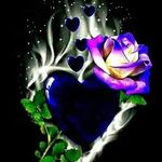 Profile Picture of shannan garrison (@shannangarrison8) on Instagram