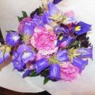 Profile Picture of Cynthia Peterson (@thiapf) on Pinterest