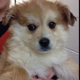 Profile Picture of Nancy Carpenter (@anceyns) on Pinterest