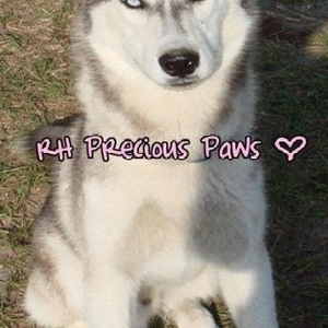 Renee Hennessey - Myspace Profile Picture of Renee Hennessey (@rhpreciouspaws) on Myspace