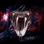 Profile Picture of John Odonohue (@john_odonohue) on Instagram