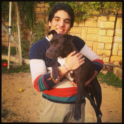 Profile Picture of DaVid A.LaTif (@ADodo982) on Twitter