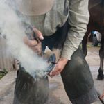 Profile Picture of Tyler Mitchell CJF (@westernstatesfarrier) on Instagram