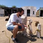 Profile Picture of Alejandro Piñeiro (@_alepineiro) on Instagram
