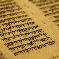 Profile Picture of Mosheh Cohen (@mosheh-cohen-1) on Quora