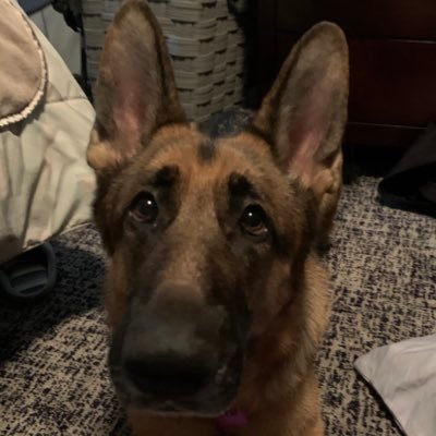 Profile Picture of Travis (@TravisOntavius) on Twitter