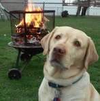 Profile Picture of Kevin Hassell (@Kevin-Hassell) on Facebook