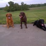 Profile Picture of Tony Hogan (@tonyhogan1) on Instagram