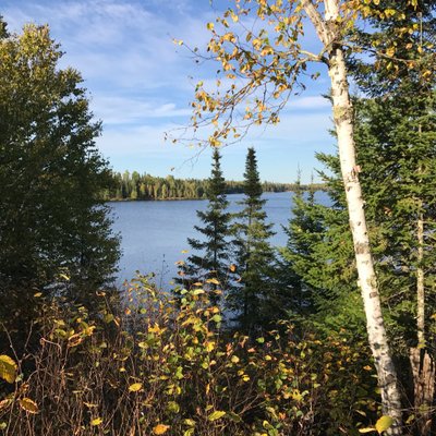 Profile Picture of Rene Ziegler (@rene_ziegler2) on Twitter