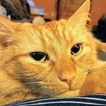 Profile Picture of Erin Murphy Hingley (@erinhingley) on Instagram