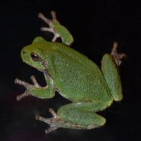 Profile Picture of Mar Digatono (@mar-digatono) on Quora