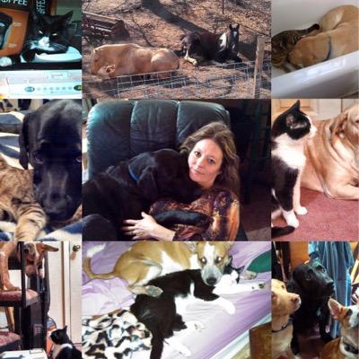 Profile Picture of Annette M. Wagner (@AnnetteMWagner2) on Twitter