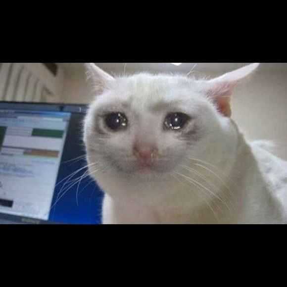 Profile Picture of Elisa Almengor (@ealmengor) on Poshmark