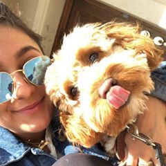 Profile Picture of Thomas Antonopoulos (@thomasantonopoulos) on Tiktok