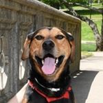 Profile Picture of Brian Bonno (@brian.bonno) on Instagram