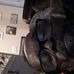 Profile Picture of Jerry Simmons (@jerry.simmons.980315) on Facebook