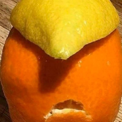 Profile Picture of Pastor Al Funghi (@funghi_al) on Twitter