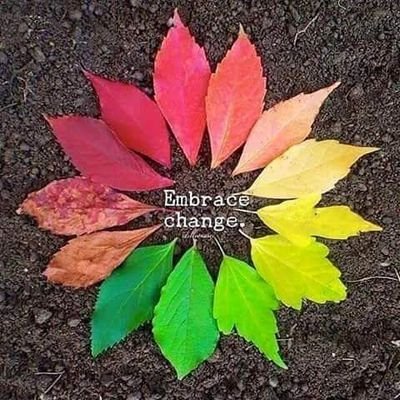 Profile Picture of Mesui (@cultsue) on Twitter