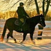 Profile Picture of Tara Roth (@tara-roth-6) on Quora