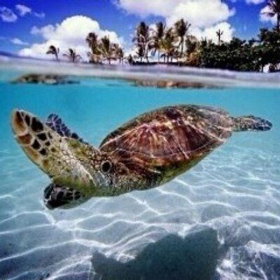 Profile Picture of Calvert Lee Norman E (@clvrtnorman) on Twitter