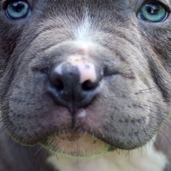 Profile Picture of Jerome Bennett (@bluenose12) on Poshmark