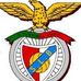 Profile Picture of Tony Goncalves (@tony.goncalves.161) on Facebook