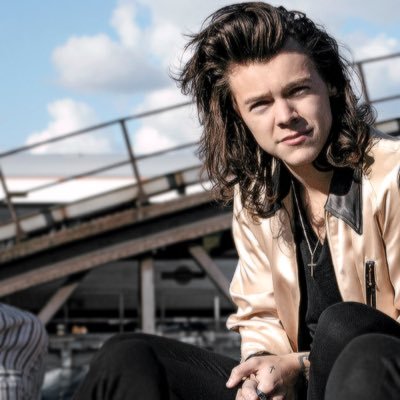 Profile Picture of Dear Harry (@PaulaCruzgu) on Twitter
