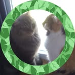 Profile Picture of Suzanne Bradley (@suzanne.bradley.5686) on Facebook