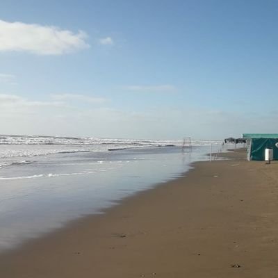 Profile Picture of Graciela Quevedo (@Greychuu) on Twitter