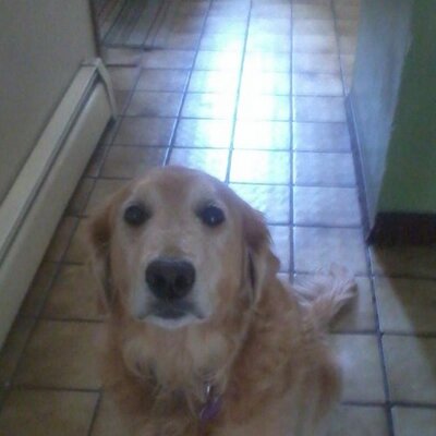 Profile Picture of Pam Savage Sims (@Pamsavagesims) on Twitter