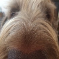 Jacob Shedd - Quora Profile Picture of Jacob Shedd (@jacob-shedd-1) on Quora