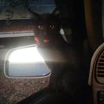 Profile Picture of Brandon Sharp (@brandon.sharp) on Instagram
