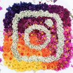 Красивые Статусы - Instagram Profile Picture of Красивые Статусы (@eng_chiroyli_statuslar) on Instagram