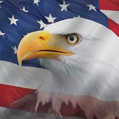 Profile Picture of Brad McKinney (@BradMcKinney19) on Twitter