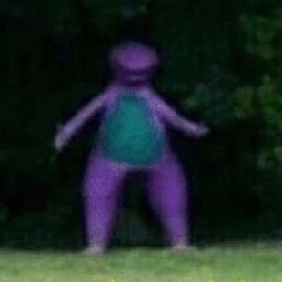 Profile Picture of Birds Are Cameras (@DefinedGavin) on Twitter