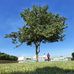 Profile Picture of Salem Bashar (@salem.bashar.522) on Facebook