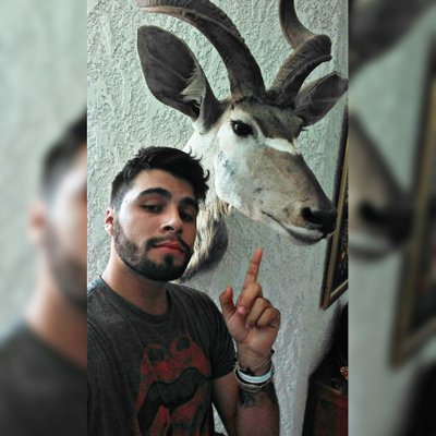 Profile Picture of Nick Saucedo Antelo (@nicolassaucedo) on Twitter