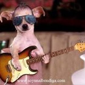 Profile Picture of Daniel Galeano (@daniel.galeano.14203) on Myspace