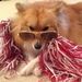 Profile Picture of Alexis Lally (@alexislally) on Pinterest