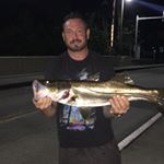 Profile Picture of Mark Hermes (@smokingun9333) on Instagram