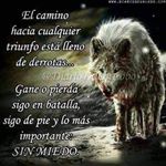 Profile Picture of Fernando Mojica (@fernando.mojica.5688) on Instagram