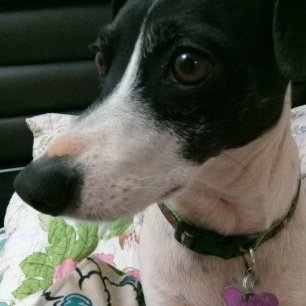 Profile Picture of Miriam Luz Gallardo Saez (@MiriamLuzGalla1) on Twitter