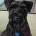 Profile Picture of David Entsminger (@david.entsminger.9) on Facebook