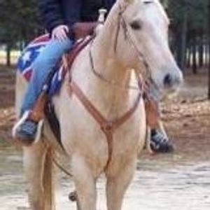 Profile Picture of Erin Hawkins (@cowgurlskikass) on Myspace