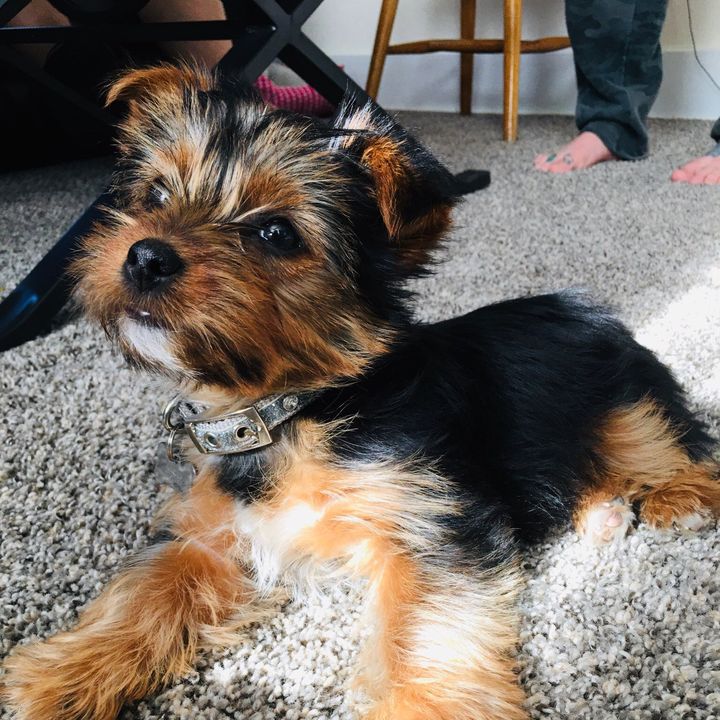 Profile Picture of Gary Morey (@@cinnamonbabygirls17) on Tiktok