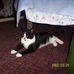 Profile Picture of Thomas Trobaugh (@thomas.trobaugh) on Facebook