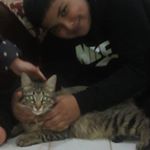 djamel dali - Instagram Profile Picture of djamel dali (@djamel) on Instagram